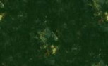 Granito Verde Labrador